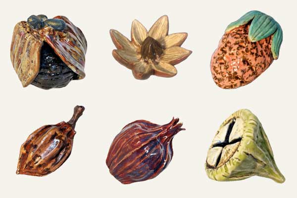 Planting Seed Pods Two