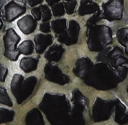 Close-up of ceramic surface showcasing cracked black glaze over a textured, greenish clay base, highlighting unique decorative techniques.