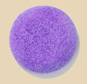 Purple natural sea sponge used for glazing pottery and applying slips in ceramics at Georgies Ceramic & Clay Company.