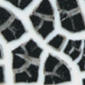 Close-up of a black crackle glaze texture on ceramic pottery, showcasing intricate white fissures and unique surface detail.