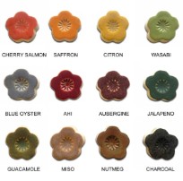 Colorful ceramic glaze samples in flower shapes, including shades like Cherry Salmon, Saffron, and Charcoal, displayed in a grid.