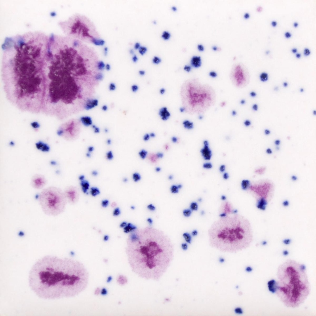 Purple and blue speckled glaze on white ceramic tile, showcasing decorative effects for pottery or sculpture applications.