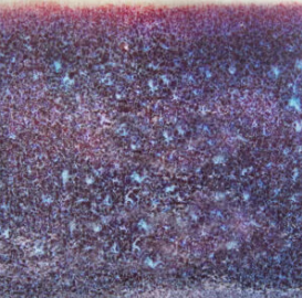 A textured ceramic glaze sample in deep purple tones with hints of blue, showcasing a speckled finish ideal for pottery.