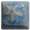 Starfish design on a ceramic tile, featuring light blue and white glazes with intricate detailing and textured surface.