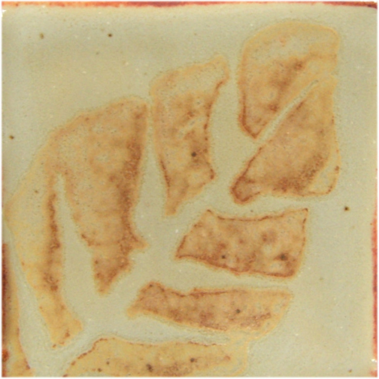 Ceramic tile featuring a textured leaf design in earthy tones with a glossy pale glaze and warm, reddish edges.