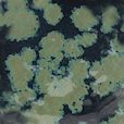 Glazed ceramic surface featuring dark blue with mottled olive green spots, showcasing unique firing effects from glazing.