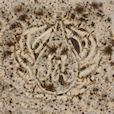 Close-up of a textured clay surface featuring a decorative teardrop motif, showcasing intricate carving techniques.