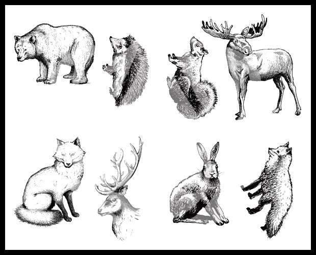 Bear, hedgehog, moose, fox, deer, rabbit, and squirrel illustrations in black and white, emphasizing wildlife themes for art projects.