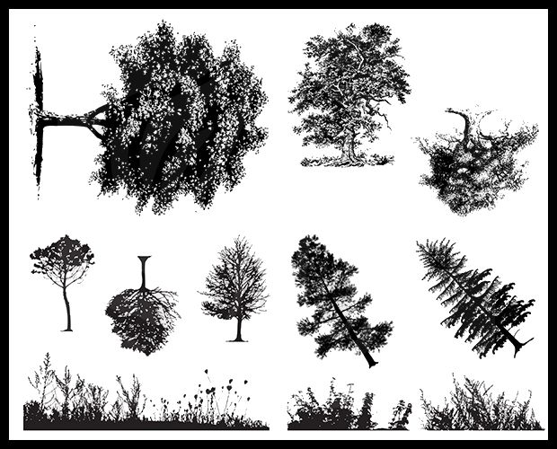 Black and white illustrations of various tree silhouettes, ideal for ceramic decoration and sculpting inspiration.