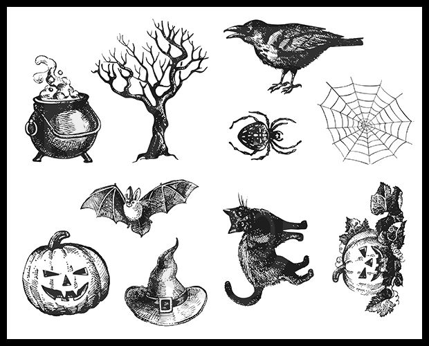 Halloween-themed illustrations including a cauldron, crow, tree, spider, bat, pumpkin, witch's hat, and black cat.