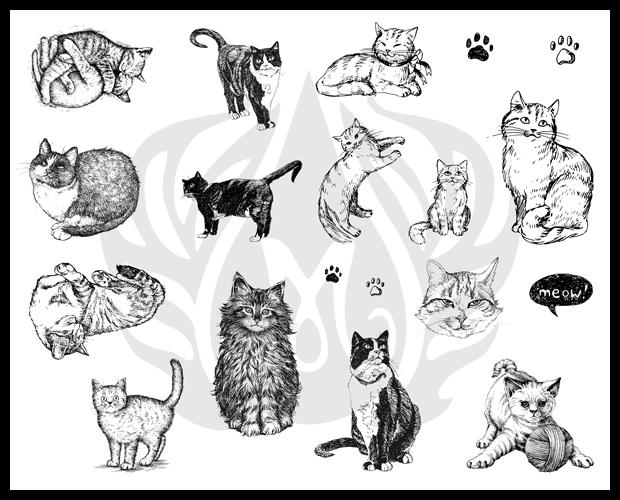 Illustration of various cat designs and illustrations, showcasing different breeds and poses in a playful, artistic style.