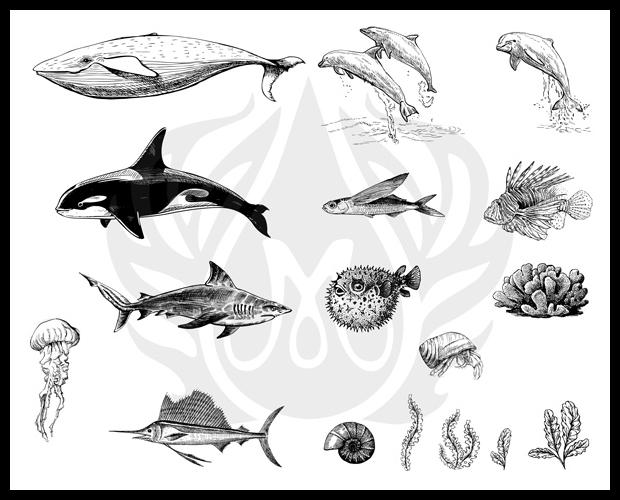 Illustration of various sea creatures, including whales, dolphins, sharks, and coral, for ceramic decoration inspiration.