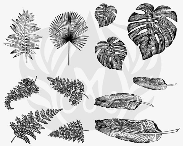 Illustration of various detailed leaves, including palm, monstera, and ferns, useful for ceramic surface decoration techniques.
