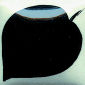Glossy black ceramic glaze sample with curved edge, showcasing a smooth surface suitable for pottery.