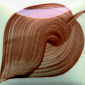 Brown and cream ceramic test swatch showcasing smooth glaze application with a flowing design for studio use.