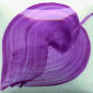 Purple brushstroke on a white ceramic surface, showcasing a vibrant glaze technique ideal for pottery decoration.