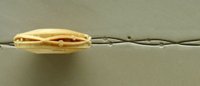 Ceramic tool displaying a yellow clay pad with a string wire, used for scoring or connecting clay in pottery techniques.