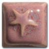 Pink ceramic tile with a raised starfish design, showcasing glazes suitable for pottery decoration and sculptural work.